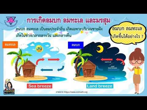 ป.6 L วิชาวิทยาศาสตร์ฯ L หน่วย 4 ปรากฎการณ์ของโลกและภัยธรรมชาติ ตอน  การเกิดลมบกลมทะเล L ครูพรพรรณ - Youtube