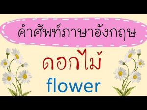 คำศัพท์ดอกไม้ ภาษาอังกฤษ Flower